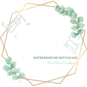 logo cestclairetnet3